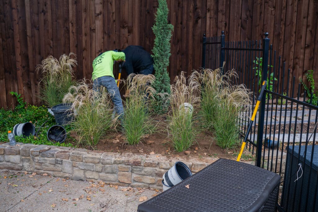 Year-Round Landscape Maintenance in Grand Prairie