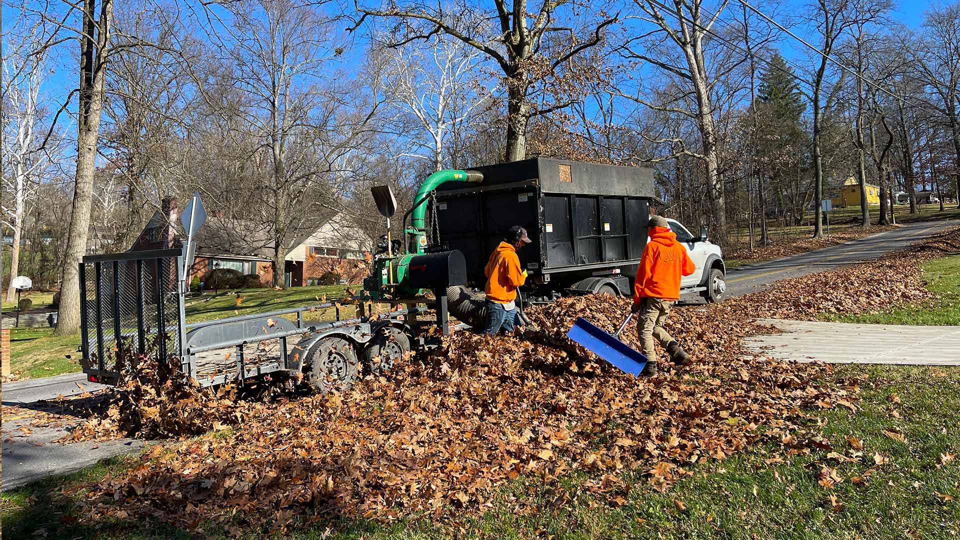 Leaf Cleanup example 1