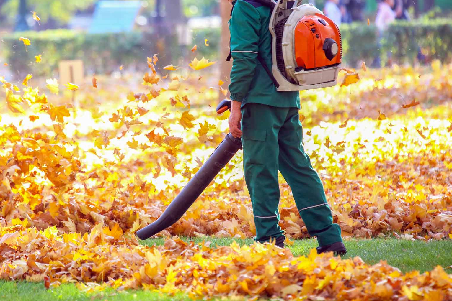 Leaf Cleanup example 2
