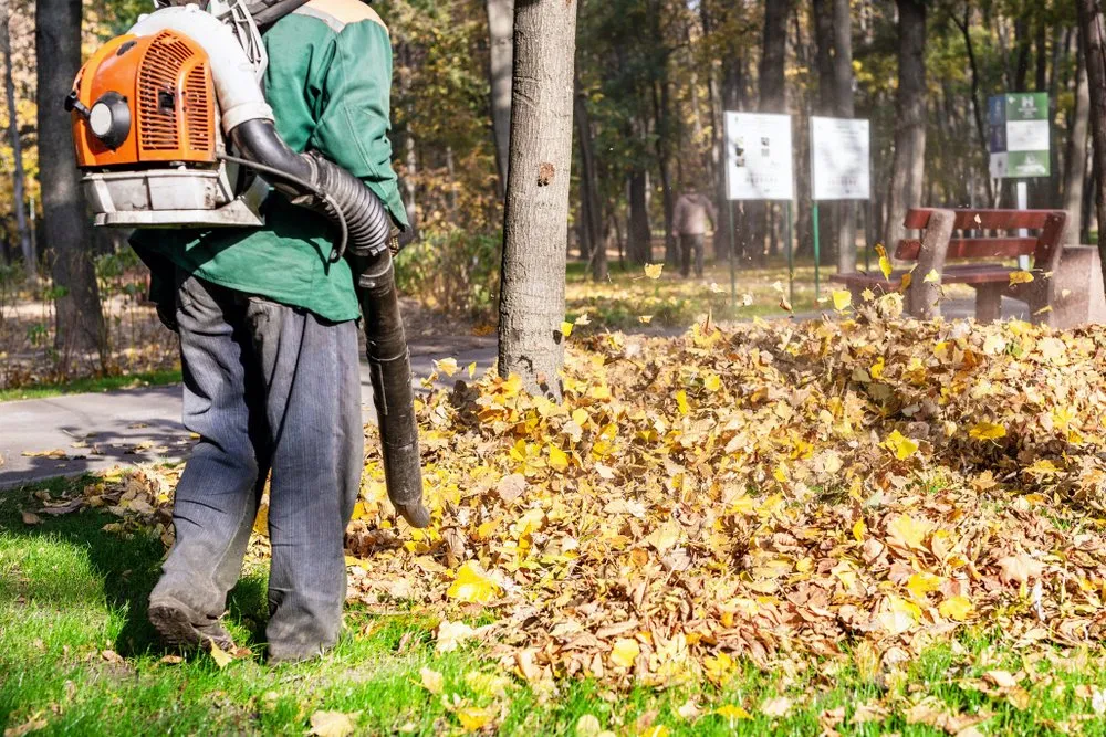 Fall Landscaping Tips from Your Grand Prairie Landscaper