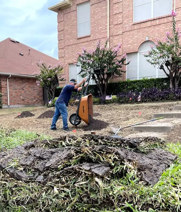 Sod Installation in Grand Prairie: Complete Guide